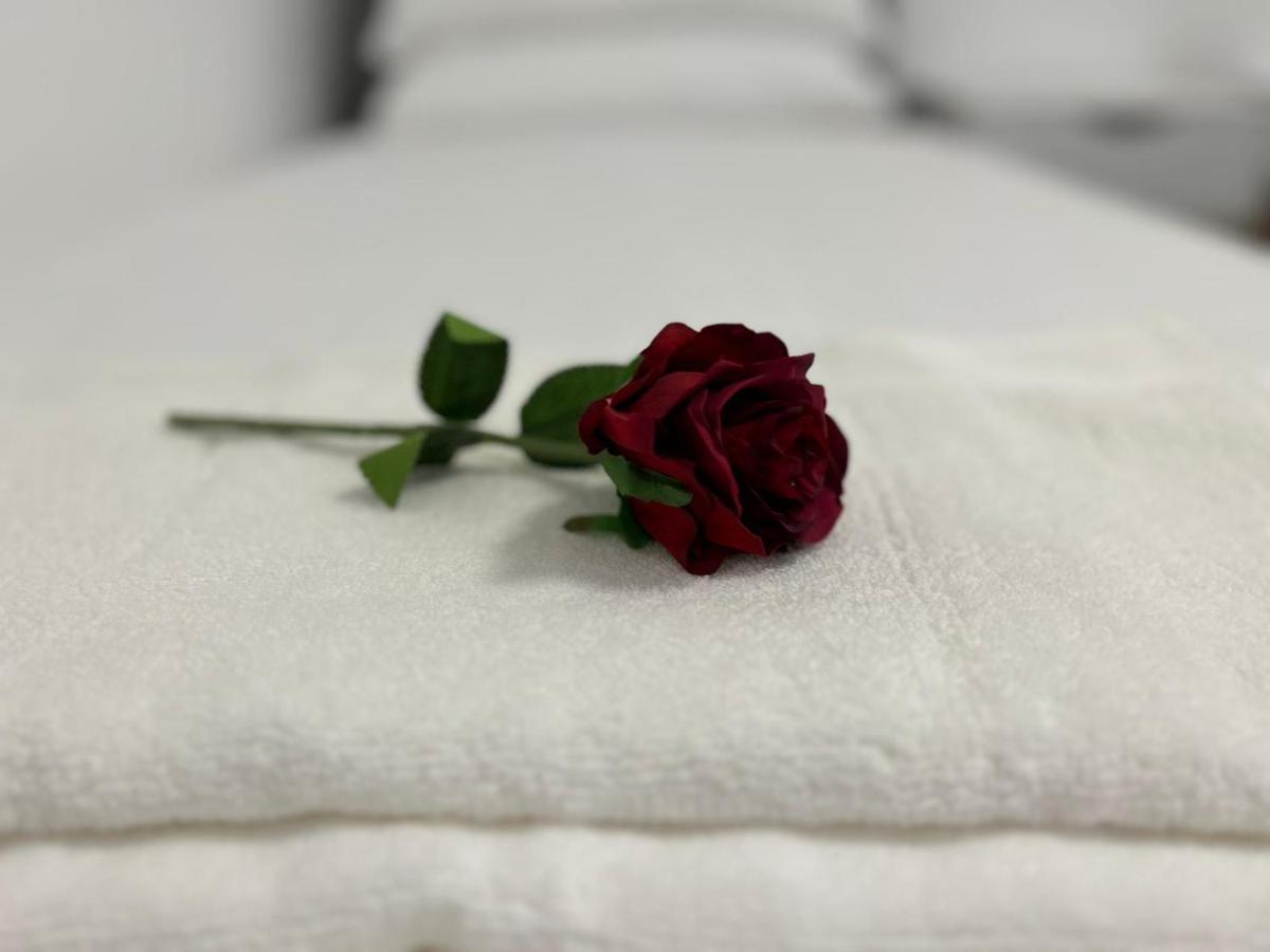 Messe Hv-2 Apartment *